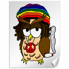  Rainbow Stoner Owl Canvas 36  X 48  by IIPhotographyAndDesigns