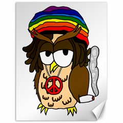  Rainbow Stoner Owl Canvas 12  X 16  by IIPhotographyAndDesigns