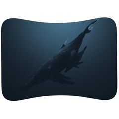 Blue Whale Family Velour Seat Head Rest Cushion by goljakoff