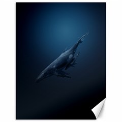 Whales Family Canvas 12  X 16  by goljakoff