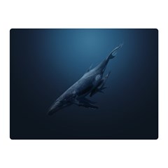 Whales Family Double Sided Flano Blanket (mini)  by goljakoff