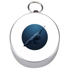 Whales Silver Compasses by goljakoff