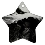 Whale in clouds Ornament (Star) Front