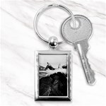 Whale in clouds Key Chain (Rectangle) Front