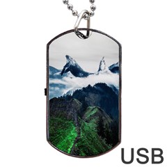 Blue Whales Dream Dog Tag Usb Flash (one Side) by goljakoff