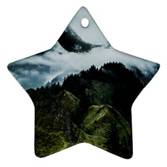 Blue Whales Dream Star Ornament (two Sides) by goljakoff