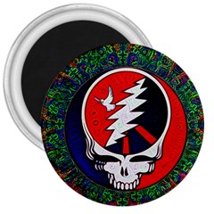 Grateful Dead - 3  Magnets by Sapixe