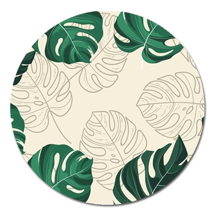 Green Monstera Leaf Illustrations Magnet 5  (Round)