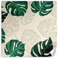 Green Monstera Leaf Illustrations Canvas 12  X 12  by HermanTelo