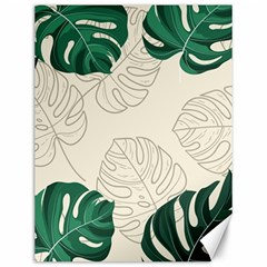 Green Monstera Leaf Illustrations Canvas 12  X 16  by HermanTelo