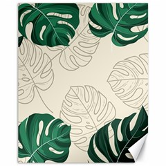 Green Monstera Leaf Illustrations Canvas 11  X 14 