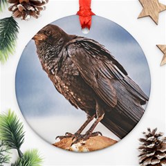 Black Crow Standing At Rock Ornament (round) by dflcprintsclothing