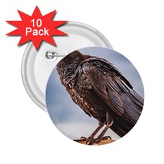 Black Crow Standing At Rock 2 25  Buttons (10 Pack)  by dflcprintsclothing