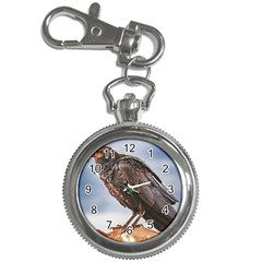 Black Crow Standing At Rock Key Chain Watches by dflcprintsclothing