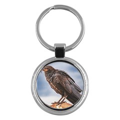 Black Crow Standing At Rock Key Chain (round) by dflcprintsclothing