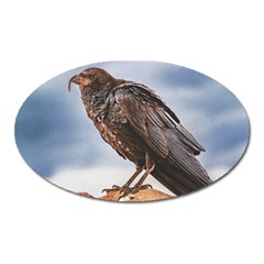 Black Crow Standing At Rock Oval Magnet by dflcprintsclothing