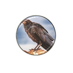 Black Crow Standing At Rock Hat Clip Ball Marker by dflcprintsclothing