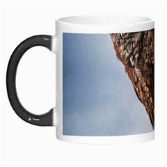 Black Crow Standing At Rock Morph Mugs by dflcprintsclothing