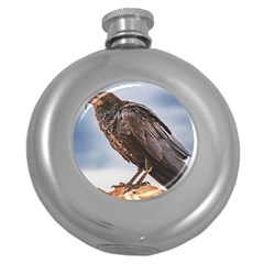 Black Crow Standing At Rock Round Hip Flask (5 Oz) by dflcprintsclothing