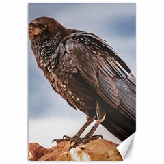 Black Crow Standing At Rock Canvas 12  X 18  by dflcprintsclothing