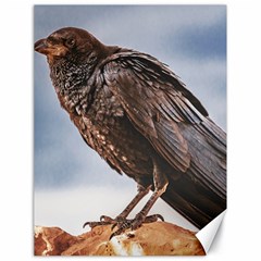 Black Crow Standing At Rock Canvas 18  X 24  by dflcprintsclothing