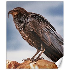 Black Crow Standing At Rock Canvas 20  X 24  by dflcprintsclothing