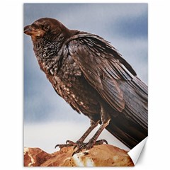 Black Crow Standing At Rock Canvas 36  X 48  by dflcprintsclothing