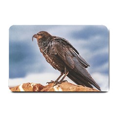 Black Crow Standing At Rock Small Doormat  by dflcprintsclothing