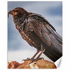 Black Crow Standing At Rock Canvas 11  X 14  by dflcprintsclothing