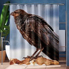 Black Crow Standing At Rock Shower Curtain 60  X 72  (medium)  by dflcprintsclothing