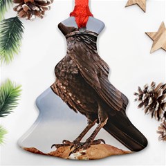 Black Crow Standing At Rock Ornament (christmas Tree) 