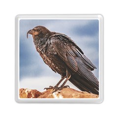 Black Crow Standing At Rock Memory Card Reader (square) by dflcprintsclothing