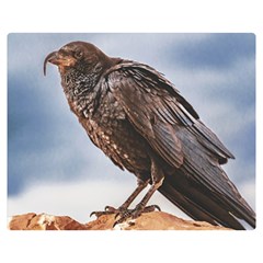 Black Crow Standing At Rock Double Sided Flano Blanket (medium)  by dflcprintsclothing