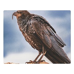 Black Crow Standing At Rock Double Sided Flano Blanket (large)  by dflcprintsclothing