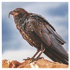 Black Crow Standing At Rock Wooden Puzzle Square by dflcprintsclothing