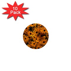 Rudbeckias  1  Mini Magnet (10 Pack)  by Sobalvarro