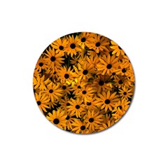 Rudbeckias  Magnet 3  (round) by Sobalvarro