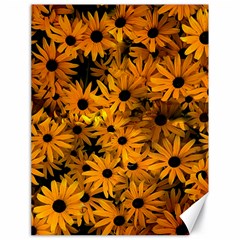 Rudbeckias  Canvas 18  X 24  by Sobalvarro