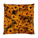 Rudbeckias  Standard Cushion Case (Two Sides) Front