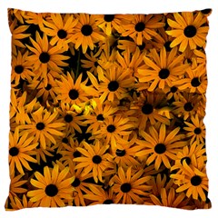 Rudbeckias  Large Cushion Case (two Sides) by Sobalvarro