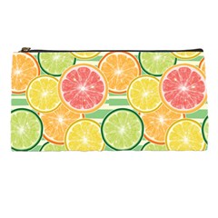 It Is Summer!! Pencil Case