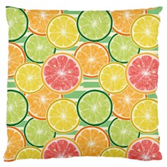 It Is Summer!! Large Cushion Case (one Side) by designsbymallika