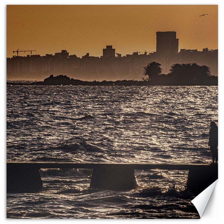 Cityscape Coastal Scene Montevideo Uruguay Canvas 20  x 20 