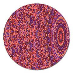 Piale Kolodo Magnet 5  (round) by Sparkle