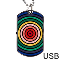 Nine 9 Bar Rainbow Target Dog Tag Usb Flash (one Side) by WetdryvacsLair