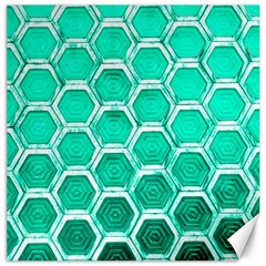 Hexagon Windows Canvas 16  X 16  by essentialimage