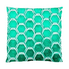 Hexagon Windows Standard Cushion Case (one Side) by essentialimage