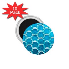 Hexagon Windows 1 75  Magnets (10 Pack)  by essentialimage