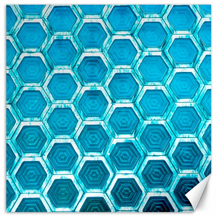 Hexagon Windows Canvas 16  x 16 