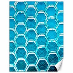 Hexagon Windows Canvas 18  X 24  by essentialimage